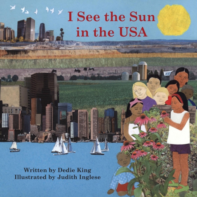 I See the Sun in the USA Volume 8, Paperback / softback Book