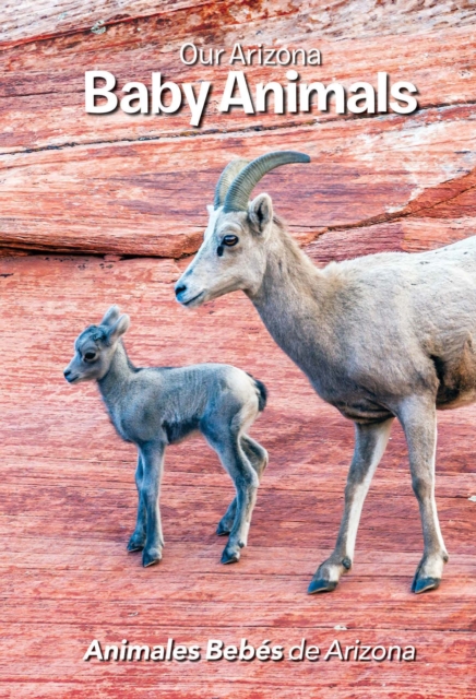 Our Arizona: Baby Animals : Baby Animals, Board book Book