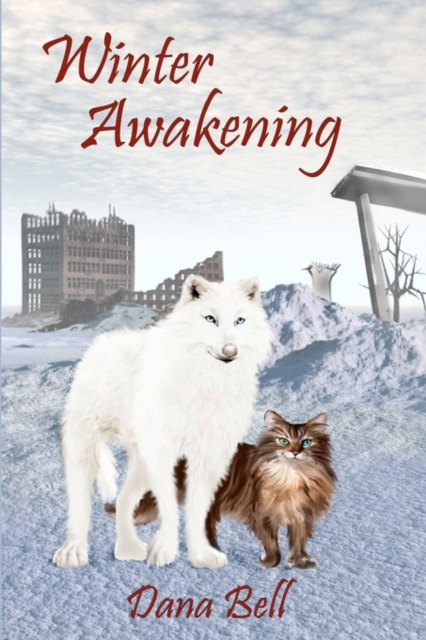 Winter Awakening, Paperback / softback Book