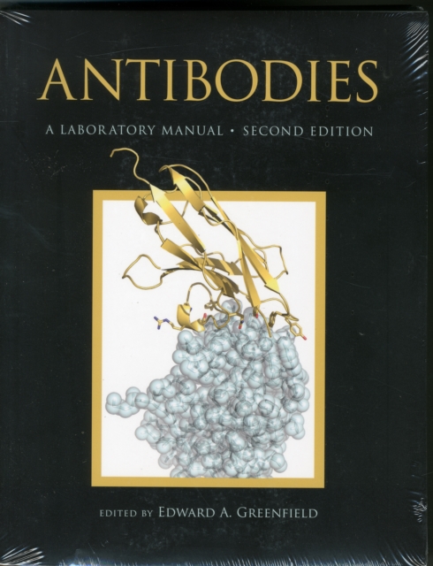 Antibodies a Laboratory Manual, Second Edition, Paperback / softback Book