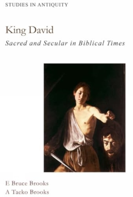 King David : Sacred and Secular in Bible Times, Hardback Book