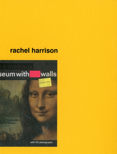 Rachel Harrison : Museum without Walls, Hardback Book