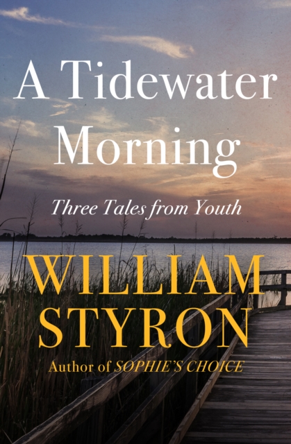 A Tidewater Morning : Three Tales from Youth, EPUB eBook