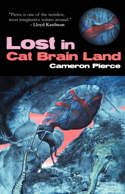 Lost in Cat Brain Land, Paperback / softback Book