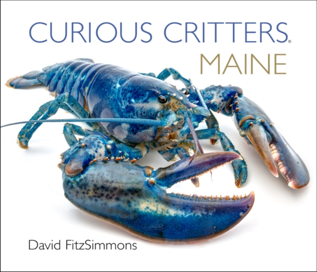 Curious Critters Maine, Board book Book