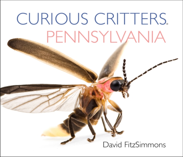 Curious Critters Pennsylvania, Board book Book