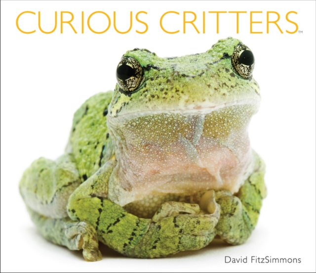 Curious Critters Volume Two, Hardback Book