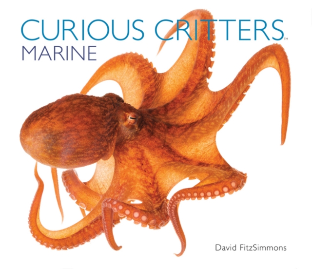 Curious Critters Marine, Hardback Book