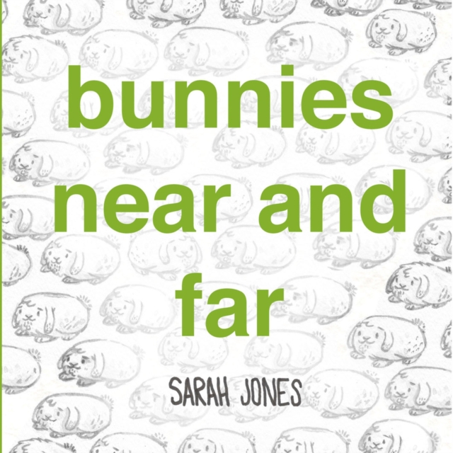 Bunnies Near and Far, Board book Book