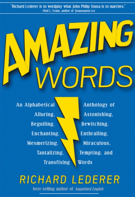 Amazing Words, Paperback / softback Book