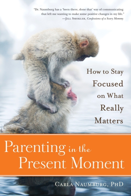 Parenting in the Present Moment : How to Stay Focused on What Really Matters, Paperback / softback Book
