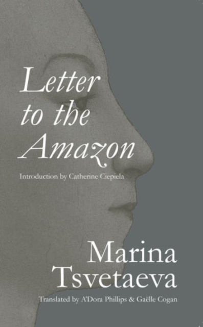 Letter to the Amazon, Paperback / softback Book