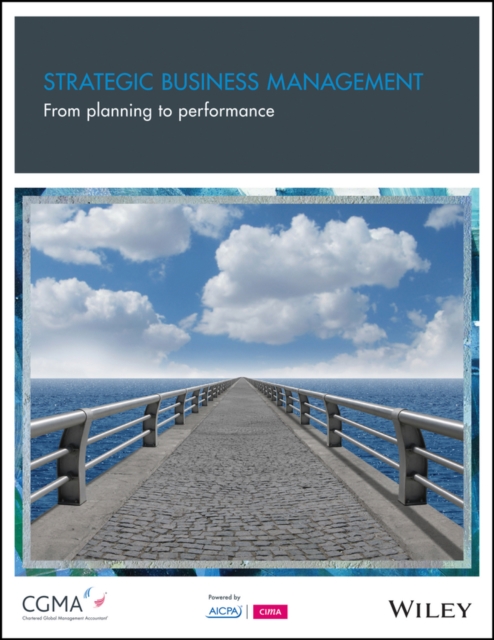 Strategic Business Management : From Planning to Performance, Paperback / softback Book