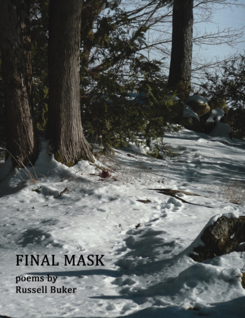 Final Mask, EPUB eBook