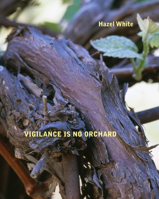 Vigilance Is No Orchard, Paperback / softback Book