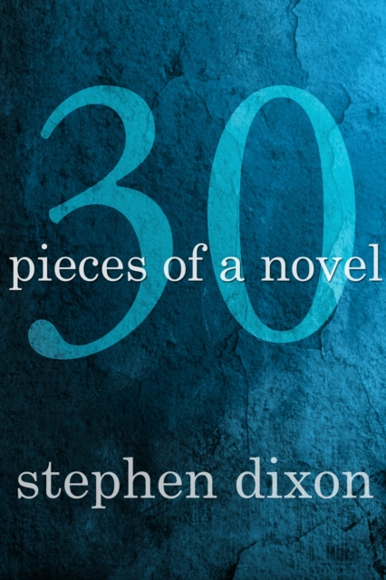 30 Pieces of a Novel, EPUB eBook