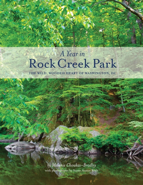 A Year in Rock Creek Park : The Wild, Wooded Heart of Washington, DC, Paperback / softback Book