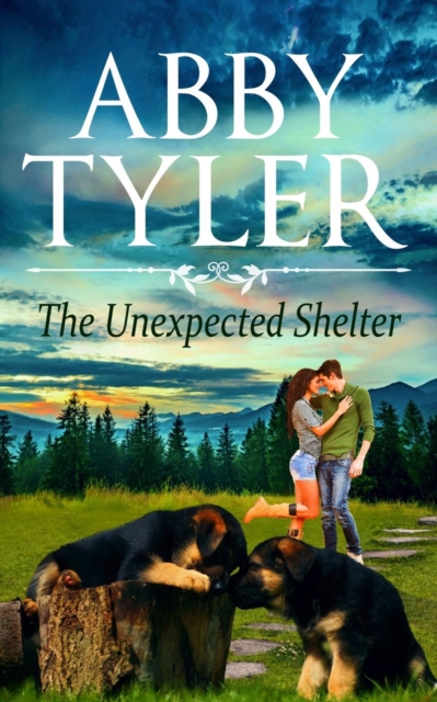 The Unexpected Shelter : An Applebottom Matchmaker Society Small Town Dog Lovers Romance, Paperback / softback Book