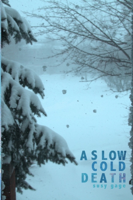 A Slow Cold Death, Paperback / softback Book