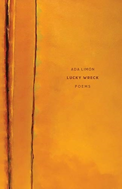 Lucky Wreck - Poems, Paperback / softback Book