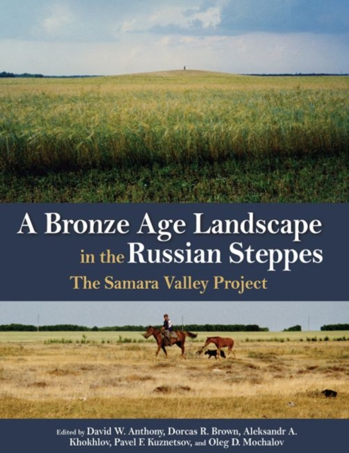 A Bronze Age Landscape in the Russian Steppes : The Samara Valley Project, Hardback Book