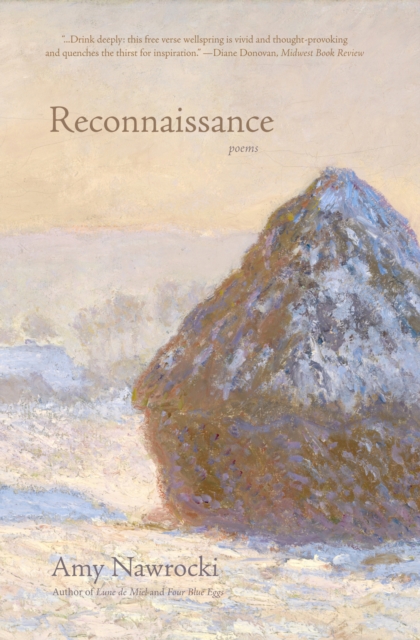 Reconnaissance, Paperback / softback Book
