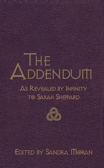 The Addendum, Paperback / softback Book