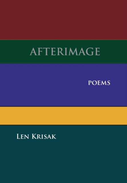 Afterimage, Hardback Book