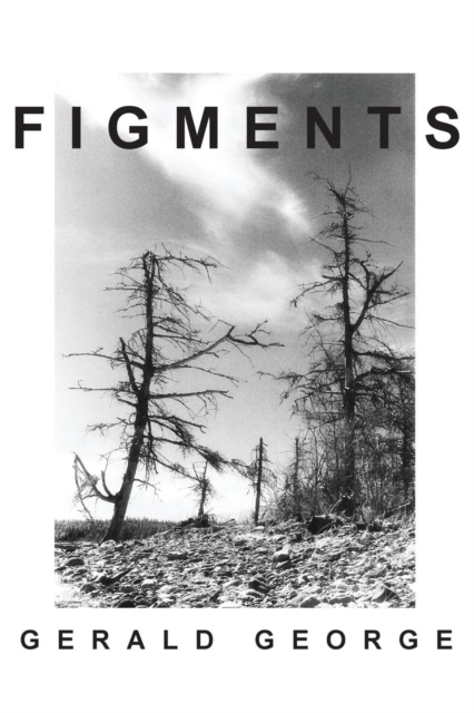 Figments, Paperback / softback Book