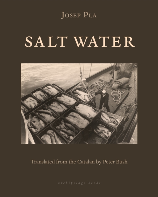 Salt Water, EPUB eBook