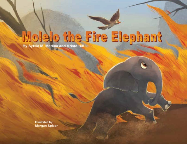 Molelo the Fire Elephant : Moleo the baby elephant gets caught up in an African Bush Fire and gets saved by Elephants Without Borders, Hardback Book