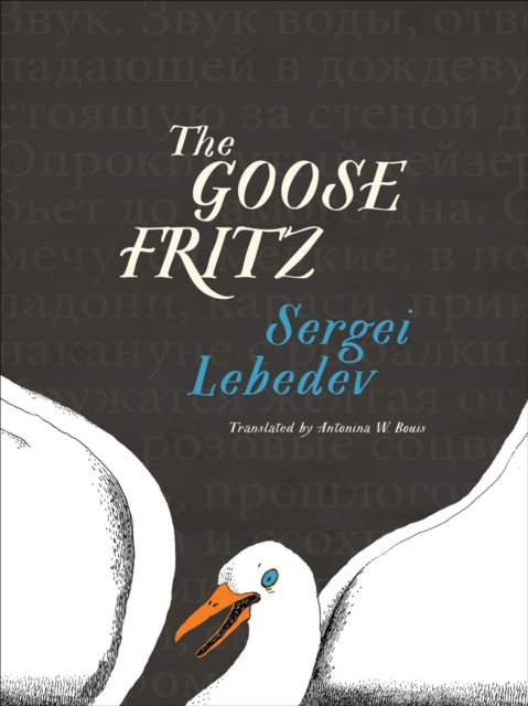 The Goose Fritz, EPUB eBook