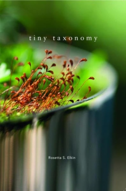 Tiny Taxonomy : Individual Plants in Landscape Architecture, Hardback Book