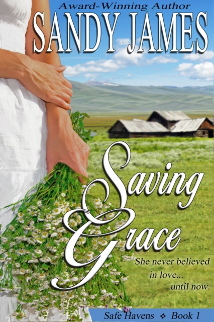 Saving Grace (Safe Havens 1), EPUB eBook