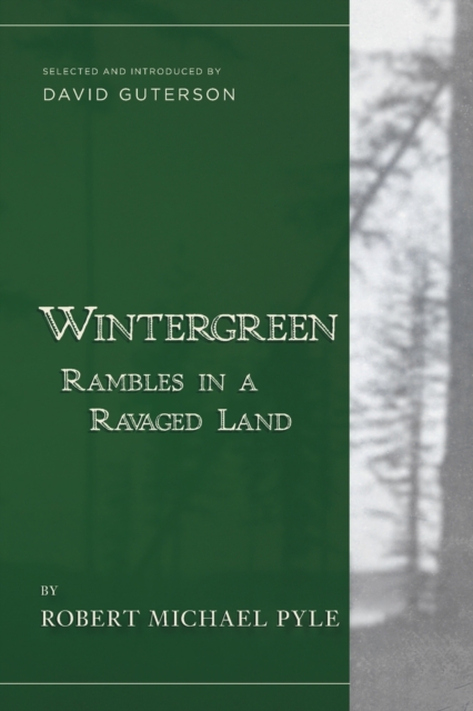 Wintergreen : Rambles in a Ravaged Land, Paperback / softback Book