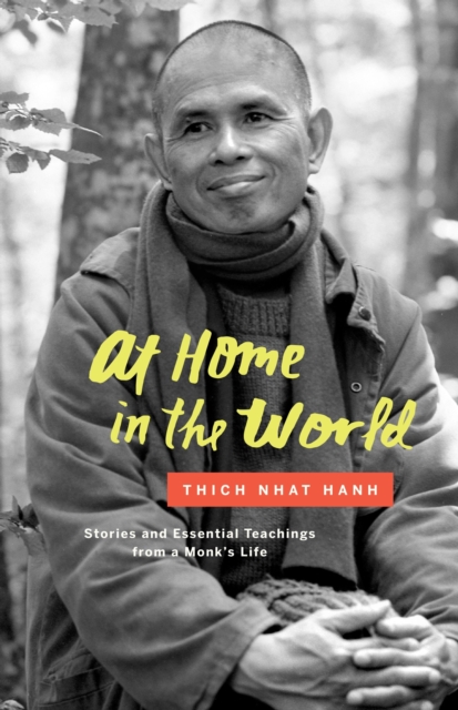 At Home in the World, EPUB eBook
