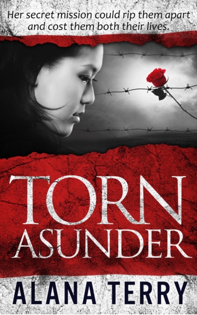 Torn Asunder, EPUB eBook
