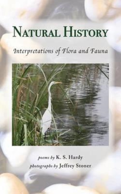 Natural History : Interpretations of Flora and Fauna, Paperback / softback Book