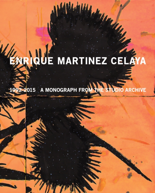 Enrique Martinez Celaya: 1990-2015 : A Monograph from the Studio Archive, Hardback Book