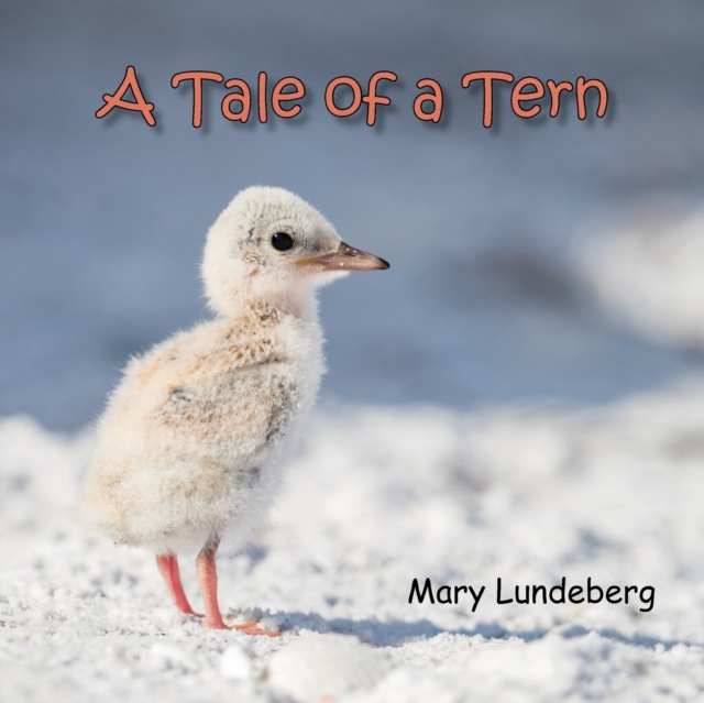 A Tale of a Tern, Paperback / softback Book