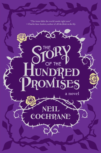 The Story of the Hundred Promises, Paperback / softback Book
