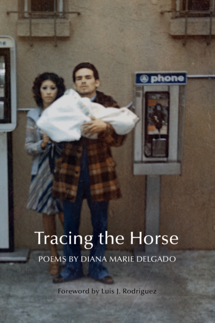 Tracing the Horse, Paperback / softback Book