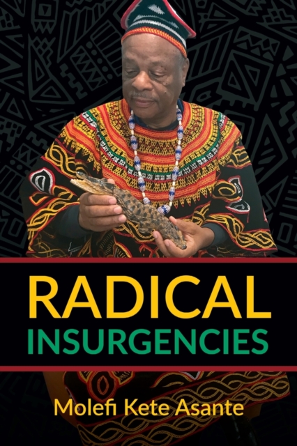 Radical Insurgencies, Paperback / softback Book