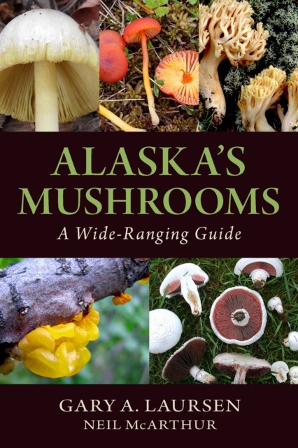 Alaska's Mushrooms : A Wide-Ranging Guide, Paperback / softback Book