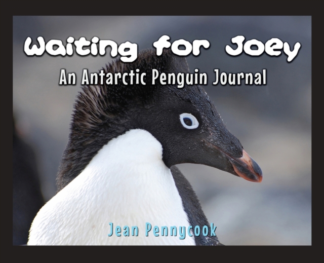 Waiting for Joey : An Antarctic Penguin Journal, Hardback Book