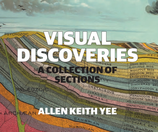 Visual Discoveries : A Collection of Sections, Paperback / softback Book