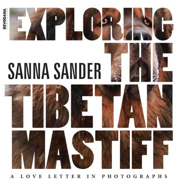 Exploring the Tibetan Mastiff : A Love Letter in Photographs, Hardback Book