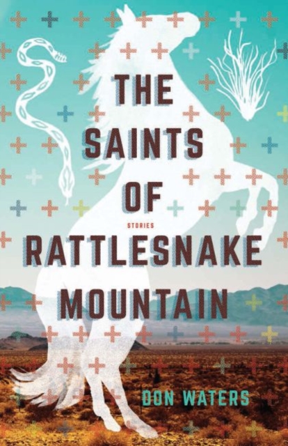 The Saints of Rattlesnake Mountain : Stories, Paperback / softback Book