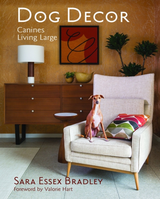 Dog Decor : Canines Living Large, Hardback Book