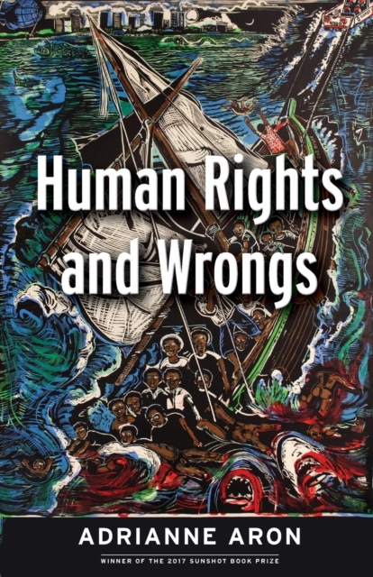 Human Rights and Wrongs : Reluctant Heroes Fight Tyranny, Paperback / softback Book